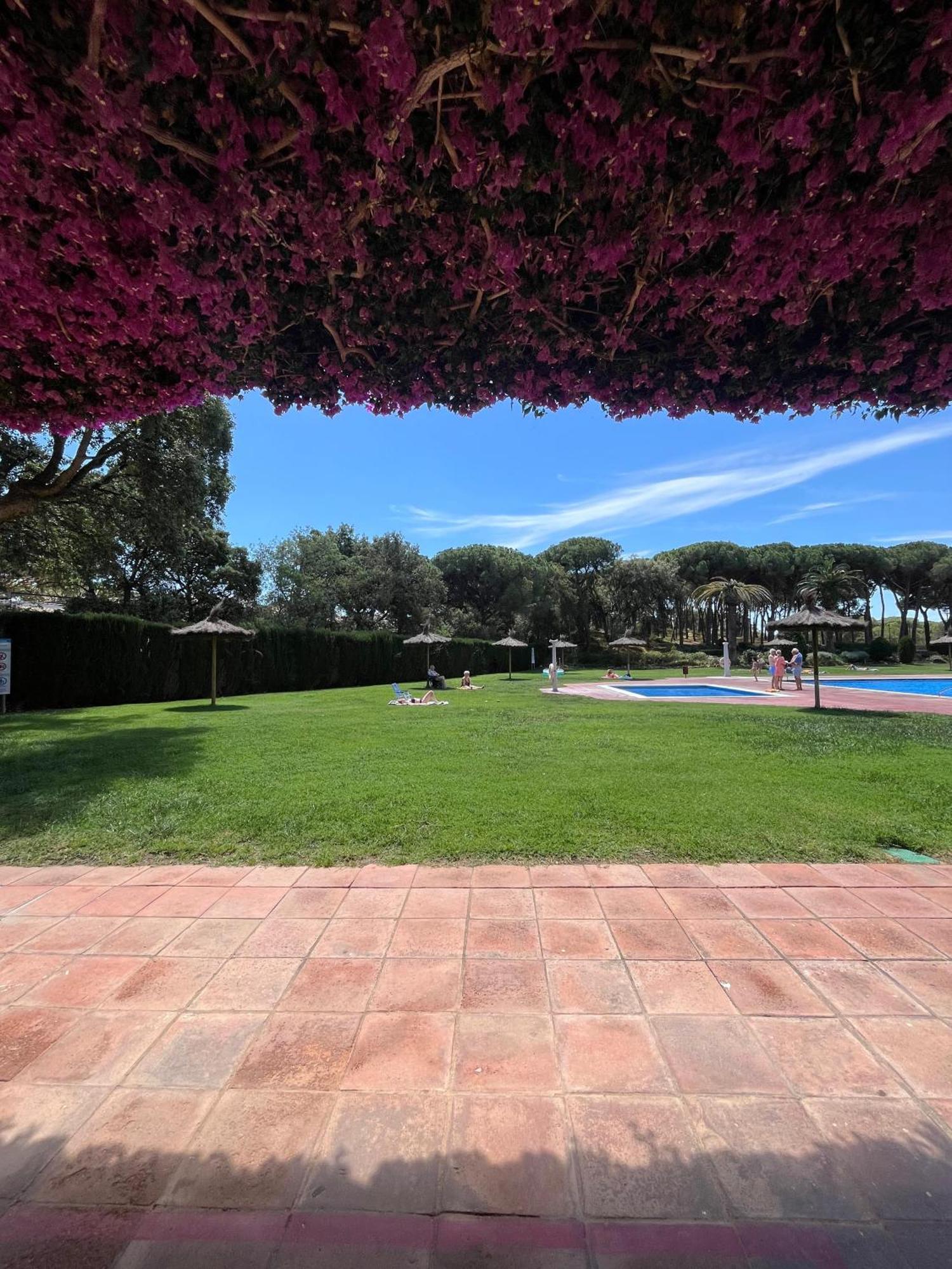 Calella De Palafrugell - Piso Reformado Con Piscina, Wifi Y Parking Gratuito Apartment Bagian luar foto
